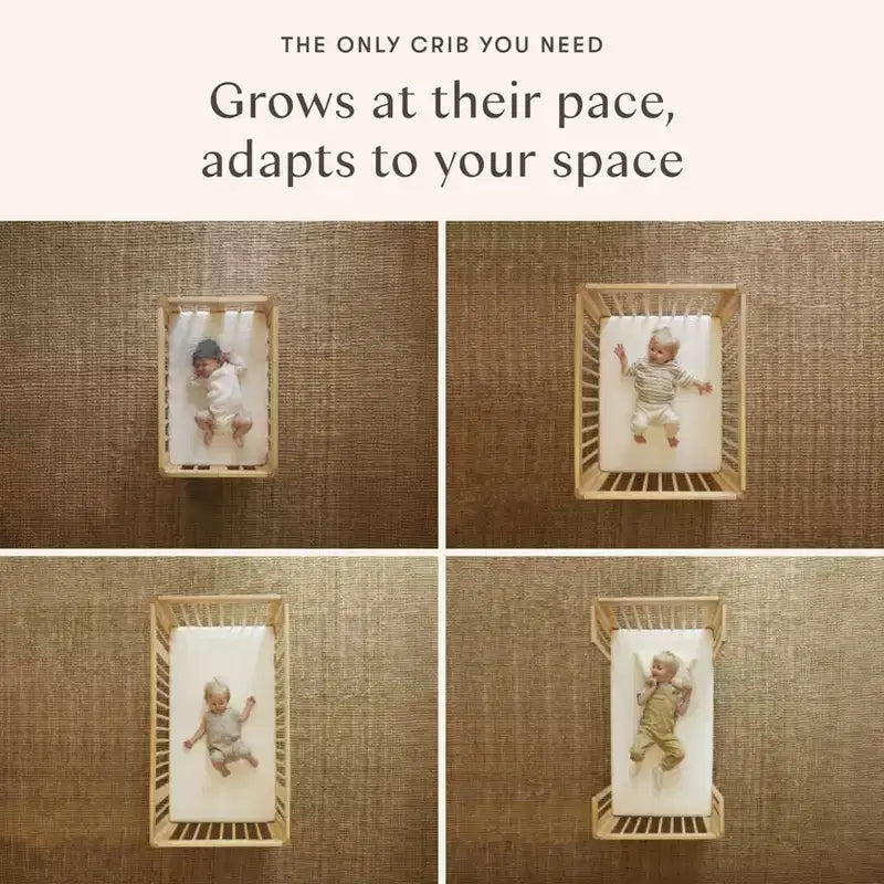 Culla convertibile Babyletto Pogo 8 in 1 con kit di conversione per tutte le fasi
