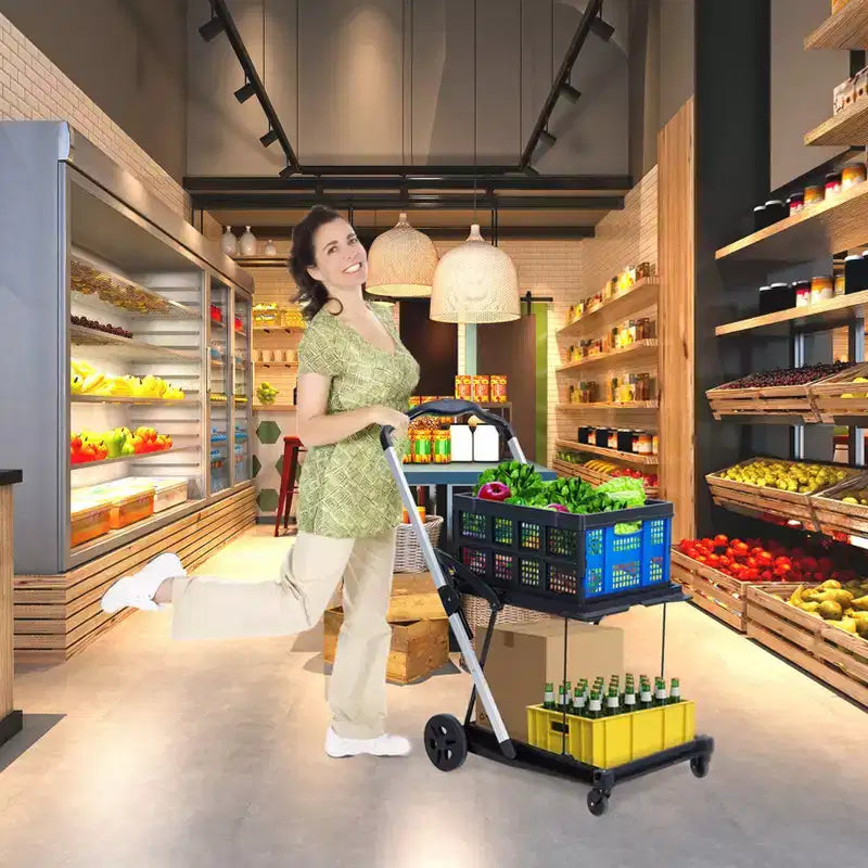 Carrelli della spesa pieghevoli a 2 livelli per la spesa, capacità 90 kg, carrello per la spesa portatile pieghevole con ruote e cassa rimovibile per centro commerciale, blu